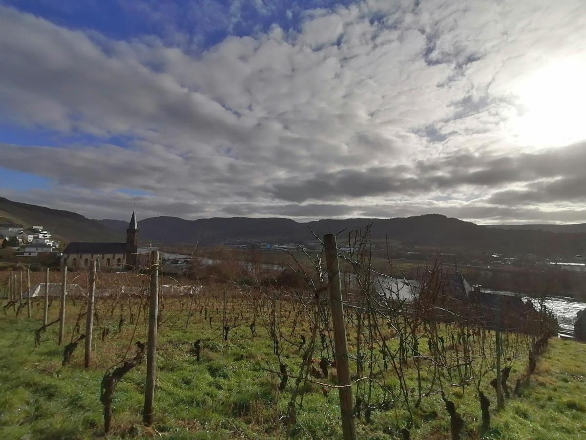 Weingut & Gastehaus Schumann Appartement Lieser Buitenkant foto